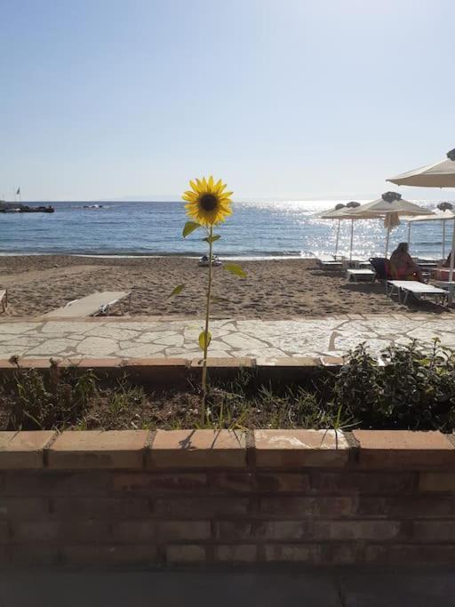 Stoupa Beachside Retro Apartment Εξωτερικό φωτογραφία